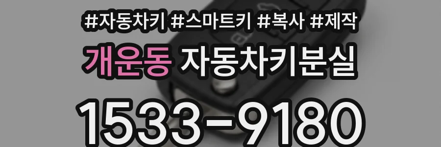 개운동 자동차키분실