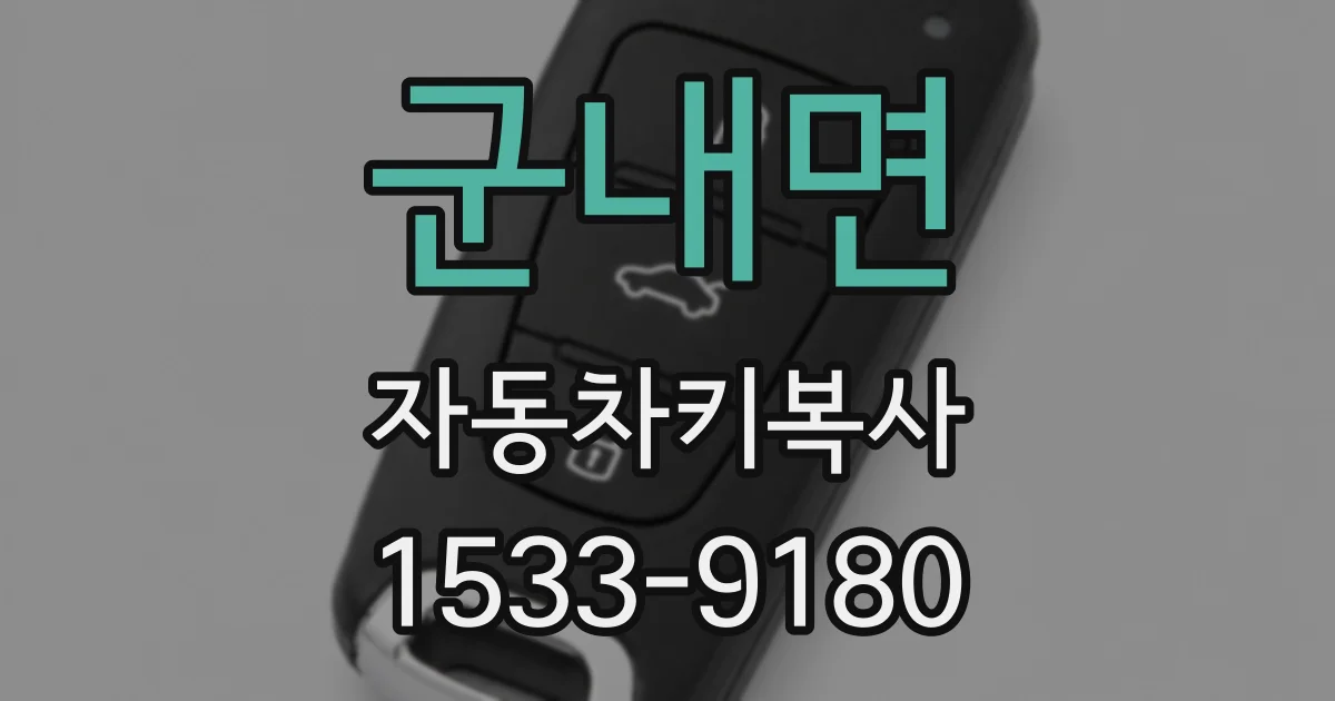군내면 자동차키복사