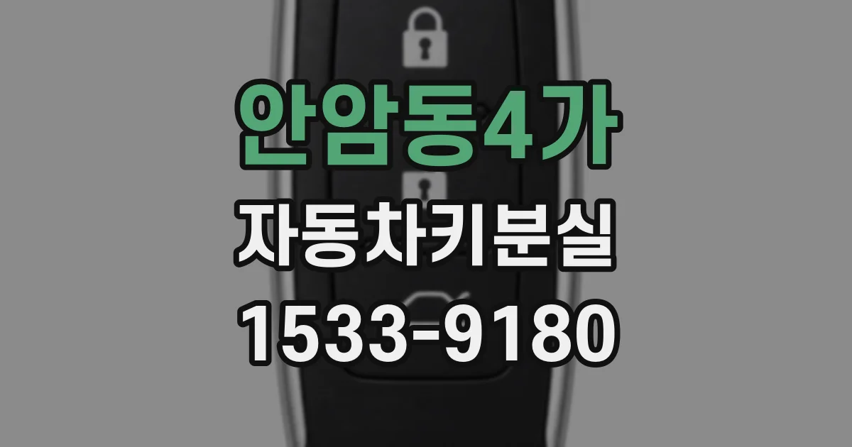 안암동4가 자동차키분실