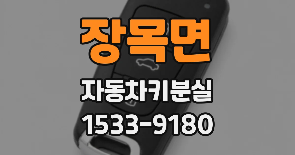 장목면 자동차키분실