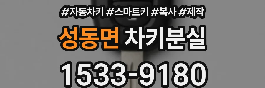 성동면 차키분실