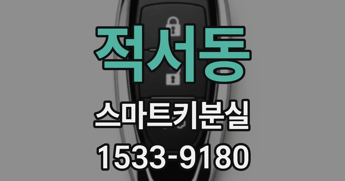 적서동 스마트키분실