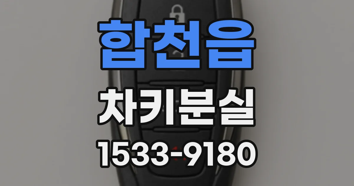 합천읍 차키분실