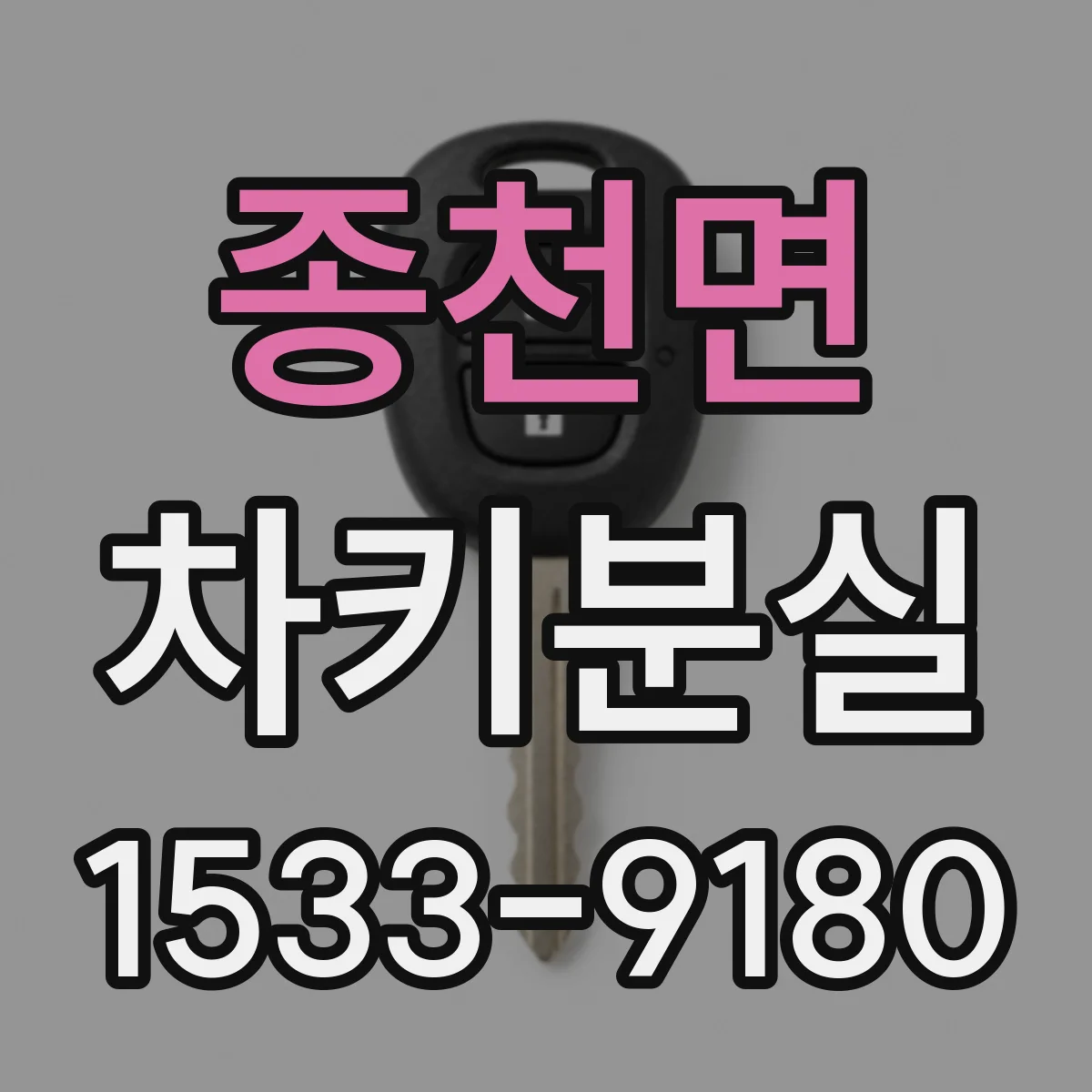종천면 차키분실