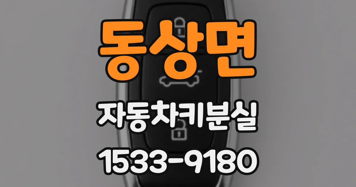 동상면 자동차키분실