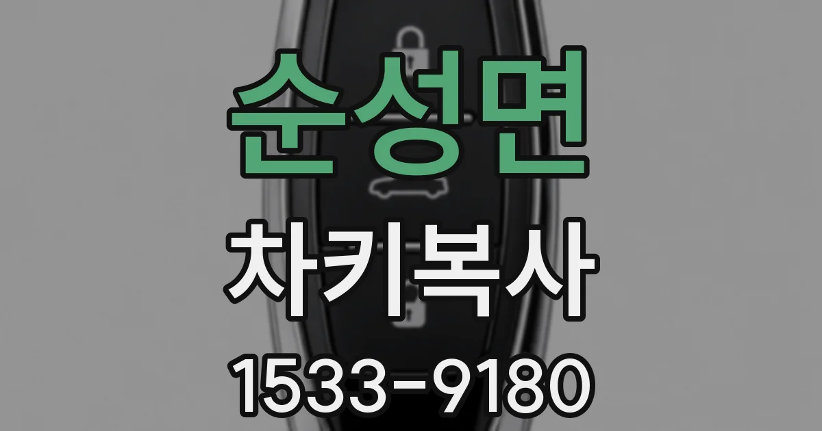 순성면 차키복사