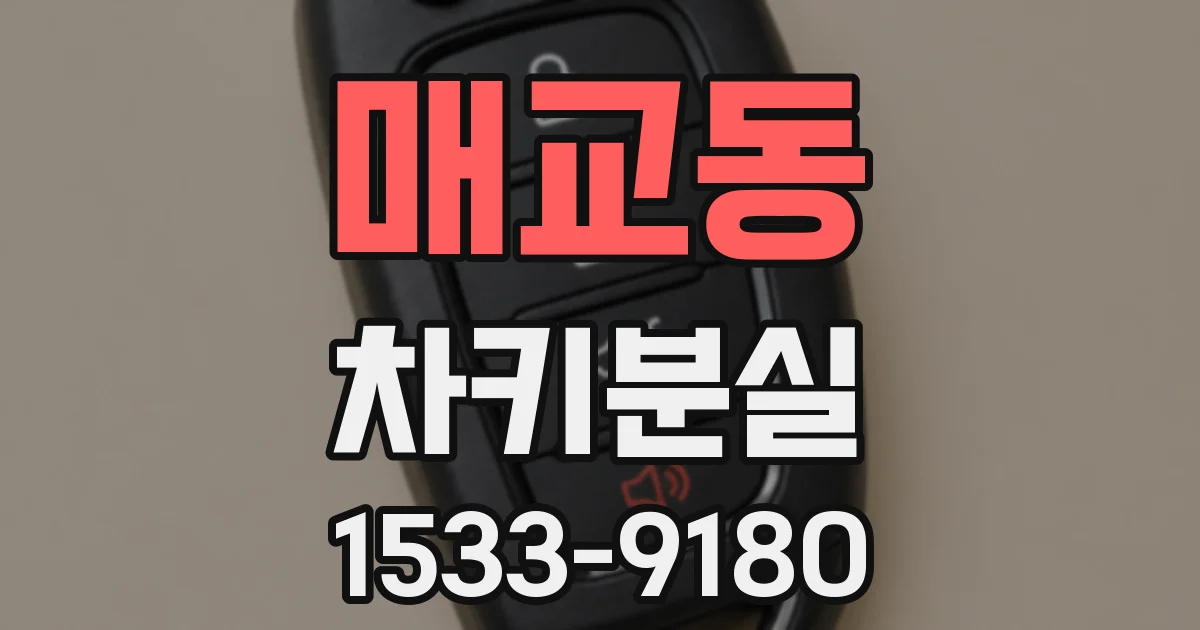 매교동 차키분실
