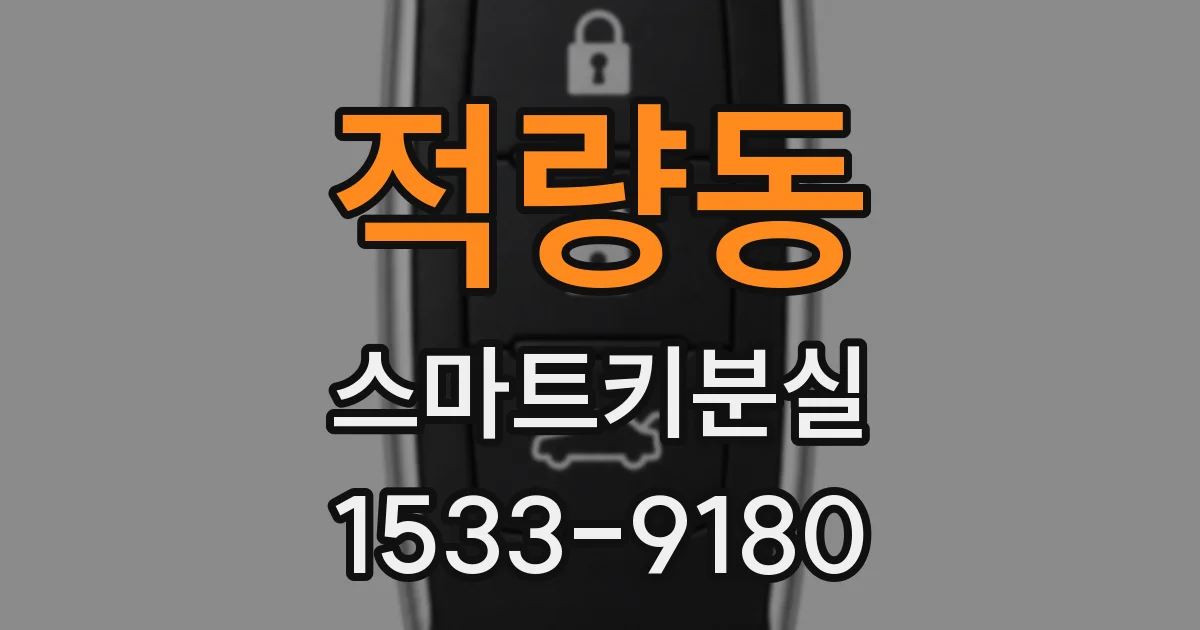 적량동 스마트키분실