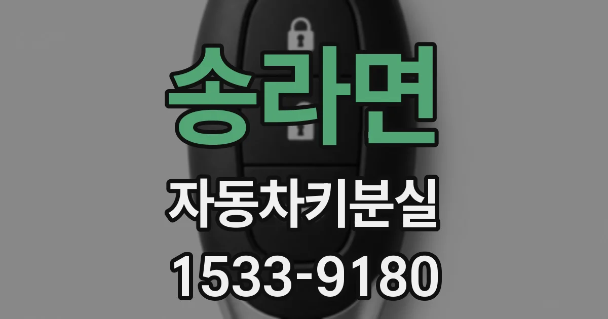 송라면 자동차키분실