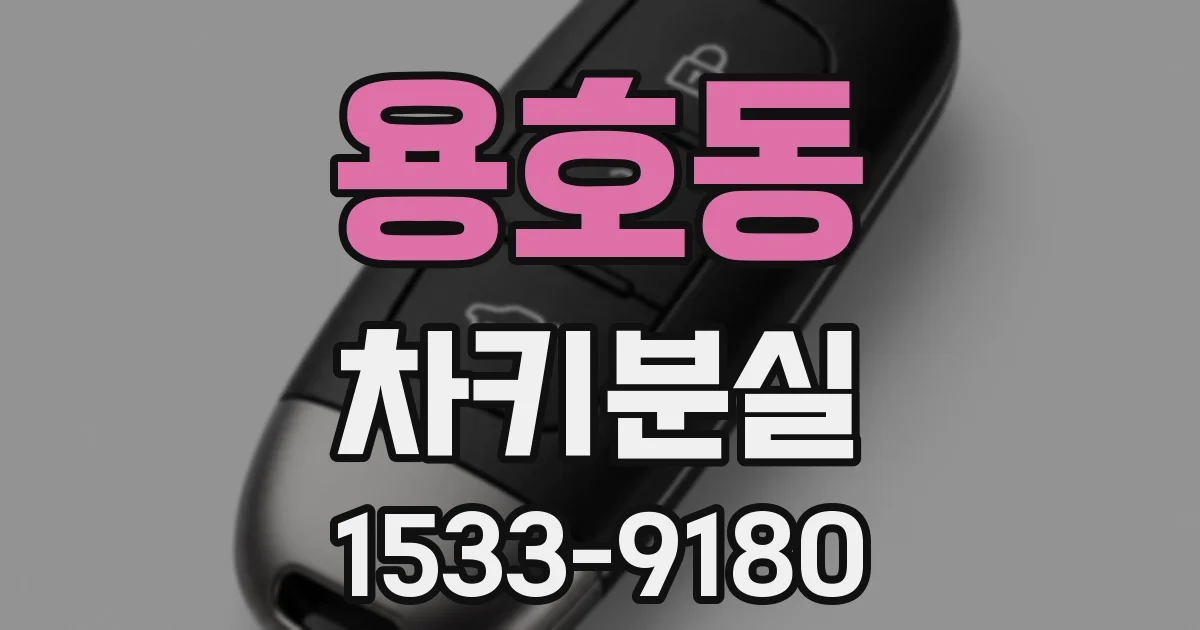 용호동 차키분실