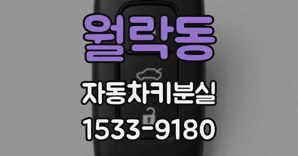 월락동 자동차키분실