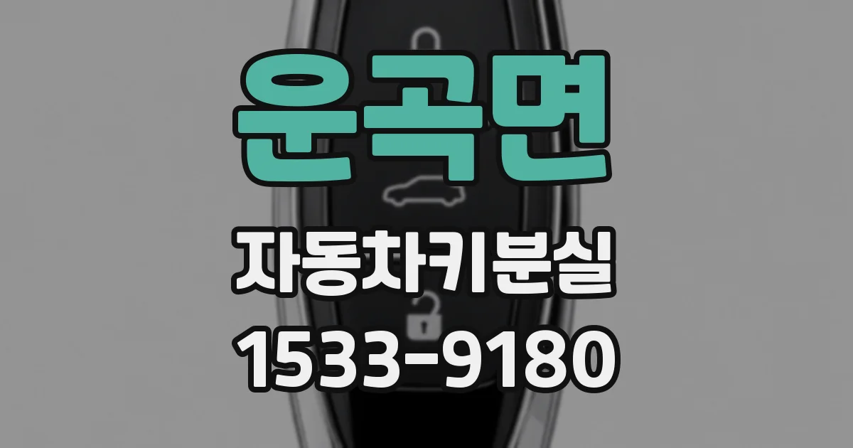 운곡면 자동차키분실
