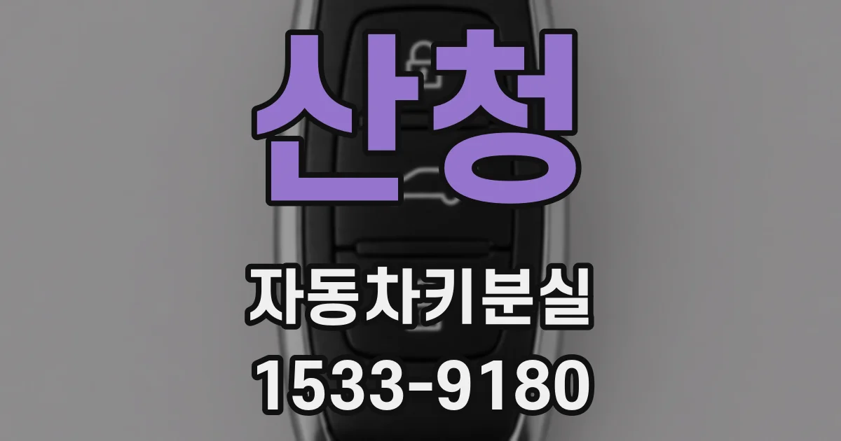 산청 자동차키분실