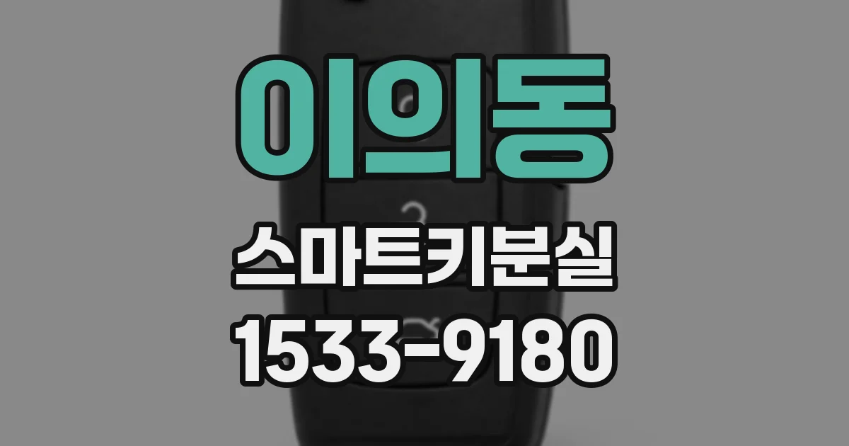 이의동 스마트키분실