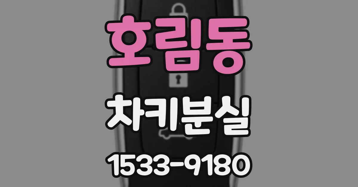호림동 차키분실