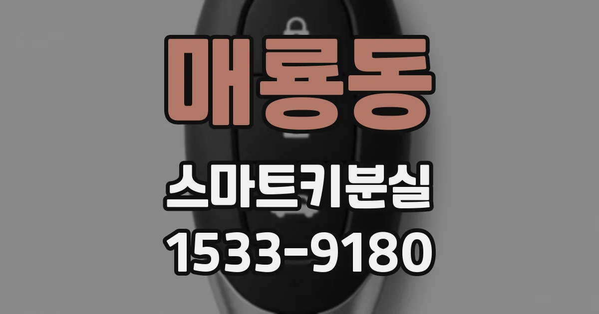매룡동 스마트키분실