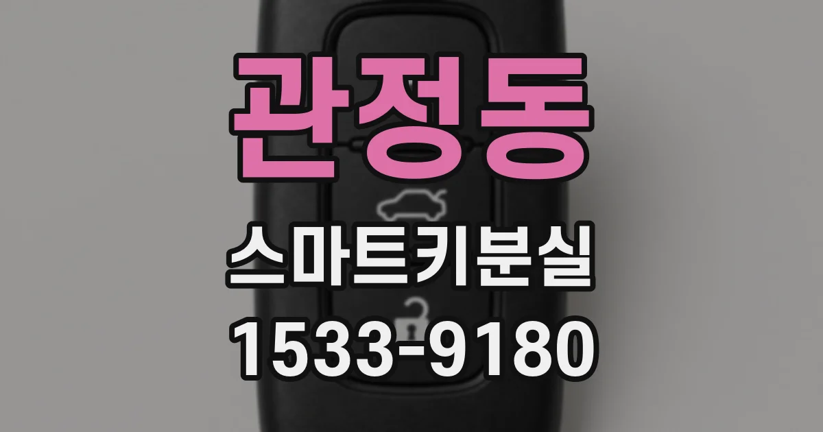 관정동 스마트키분실
