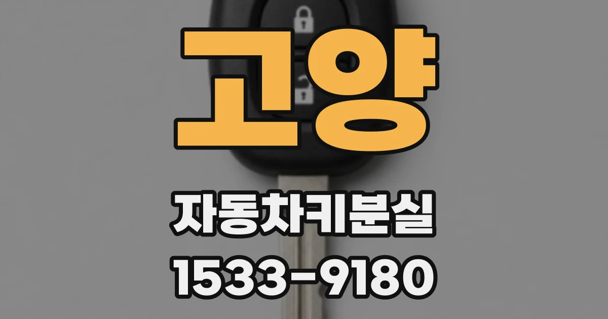 고양 자동차키분실