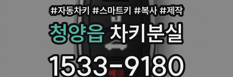 청양읍 차키분실