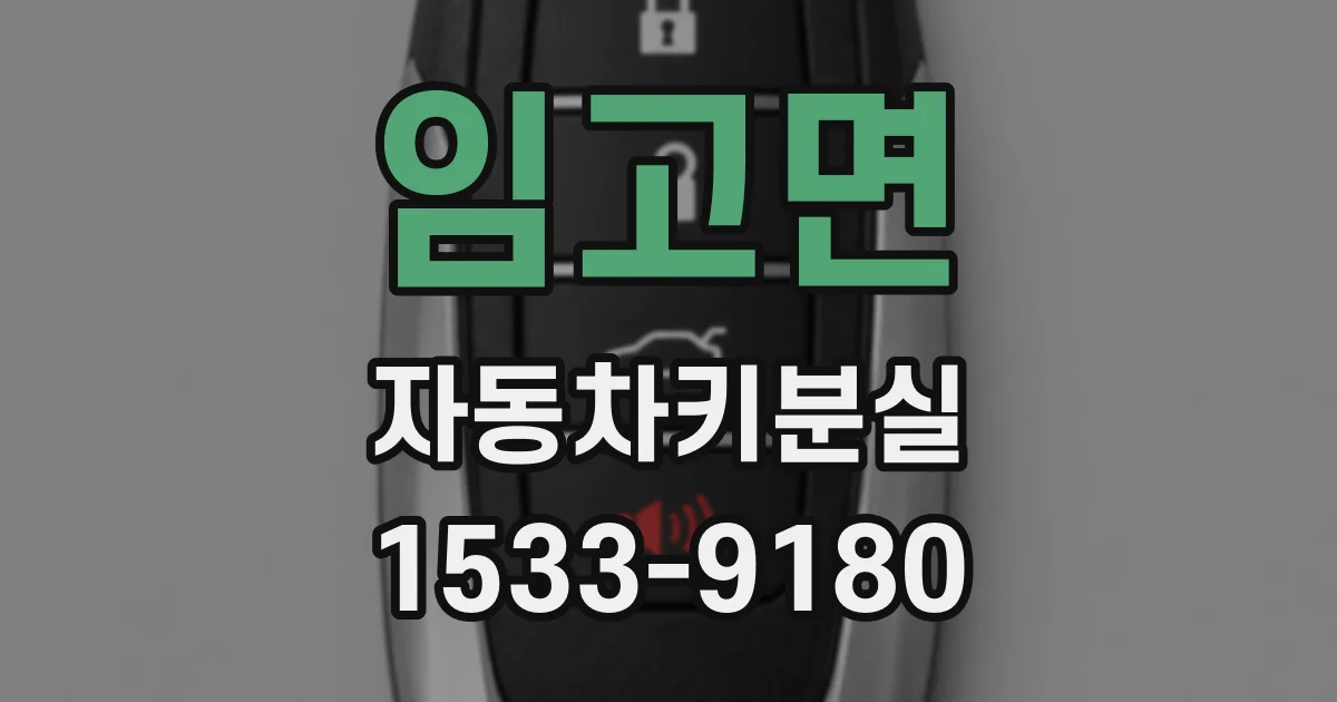 임고면 자동차키분실