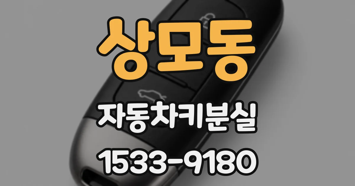 상모동 자동차키분실
