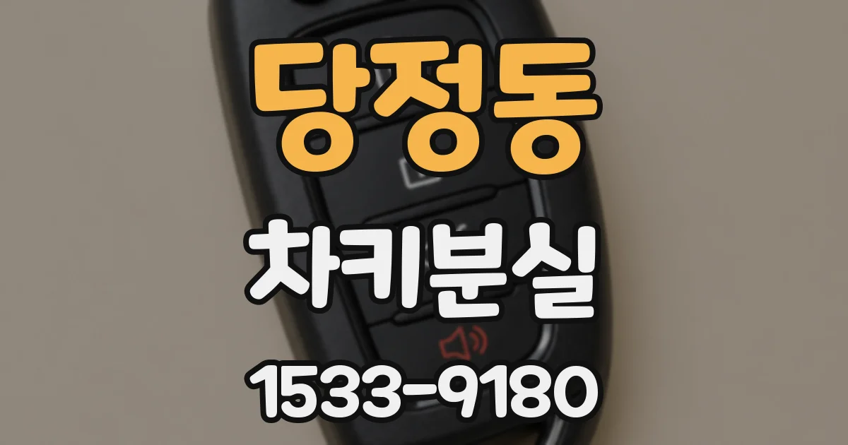 당정동 차키분실