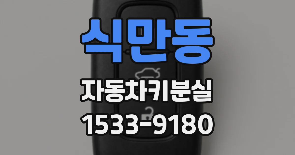 식만동 자동차키분실