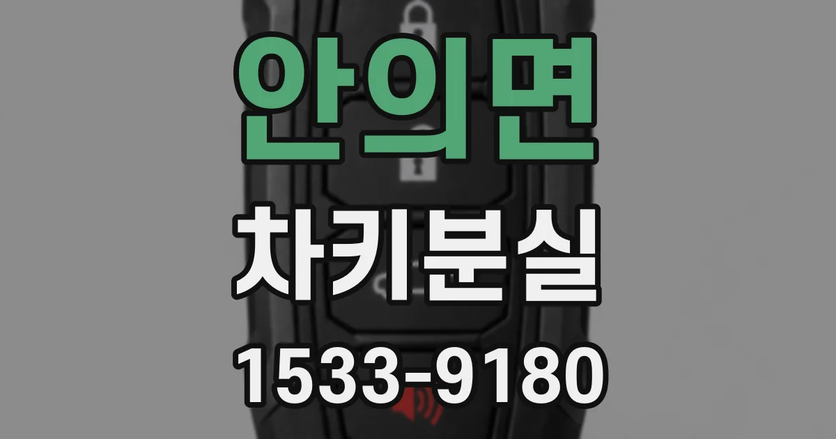 안의면 차키분실