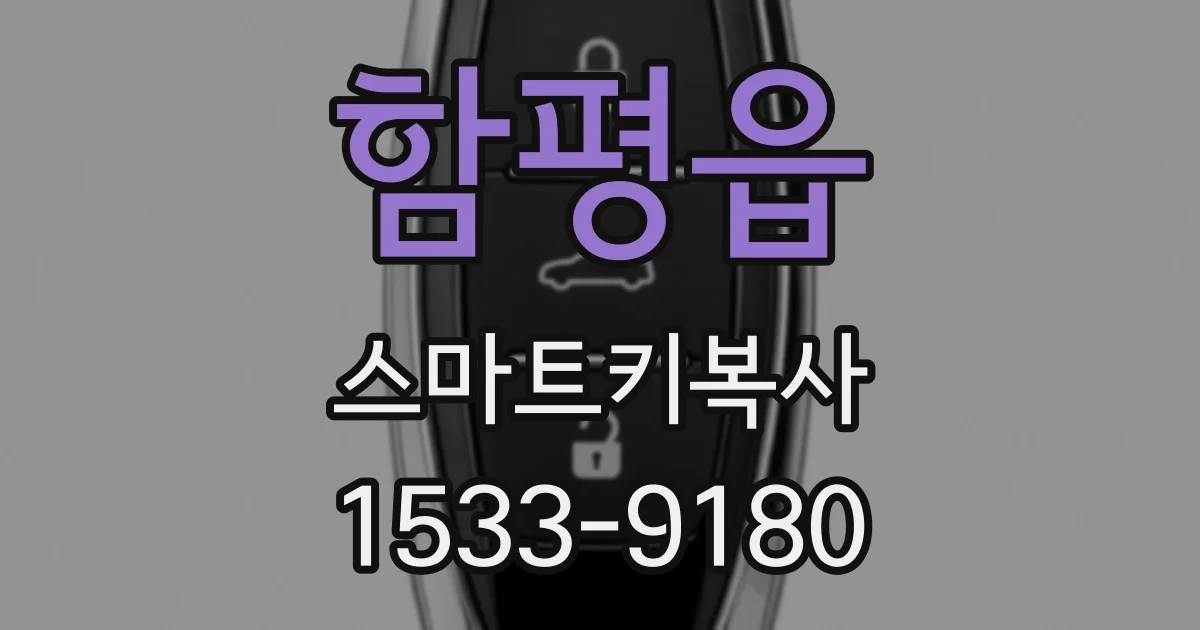 함평읍 스마트키복사