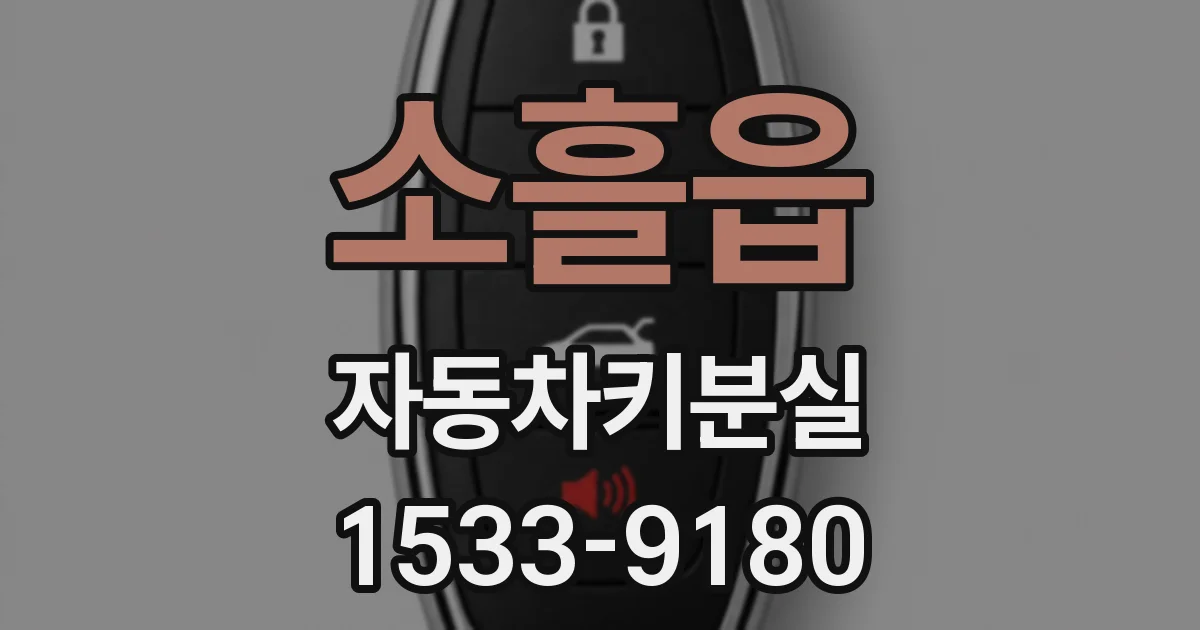 소흘읍 자동차키분실