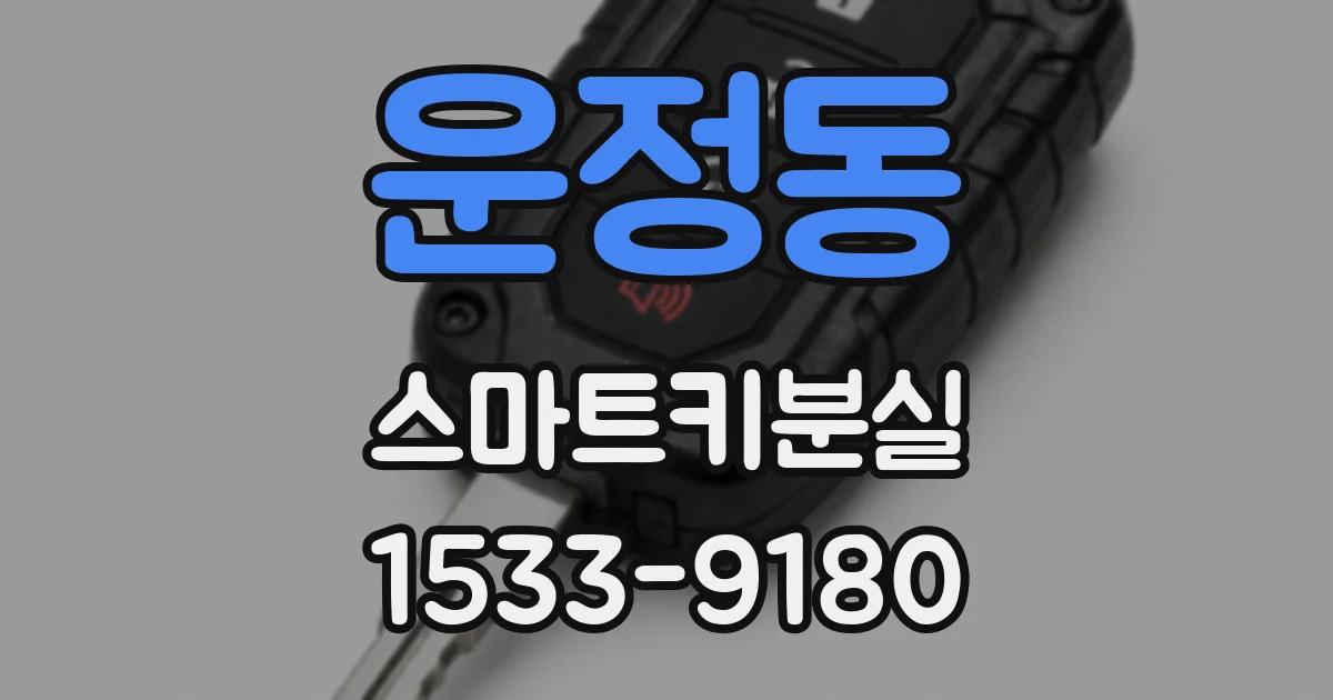 운정동 스마트키분실