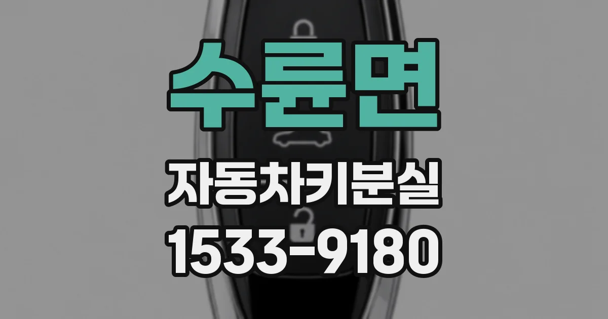 수륜면 자동차키분실