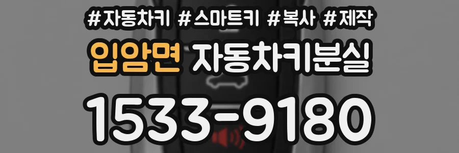 입암면 자동차키분실