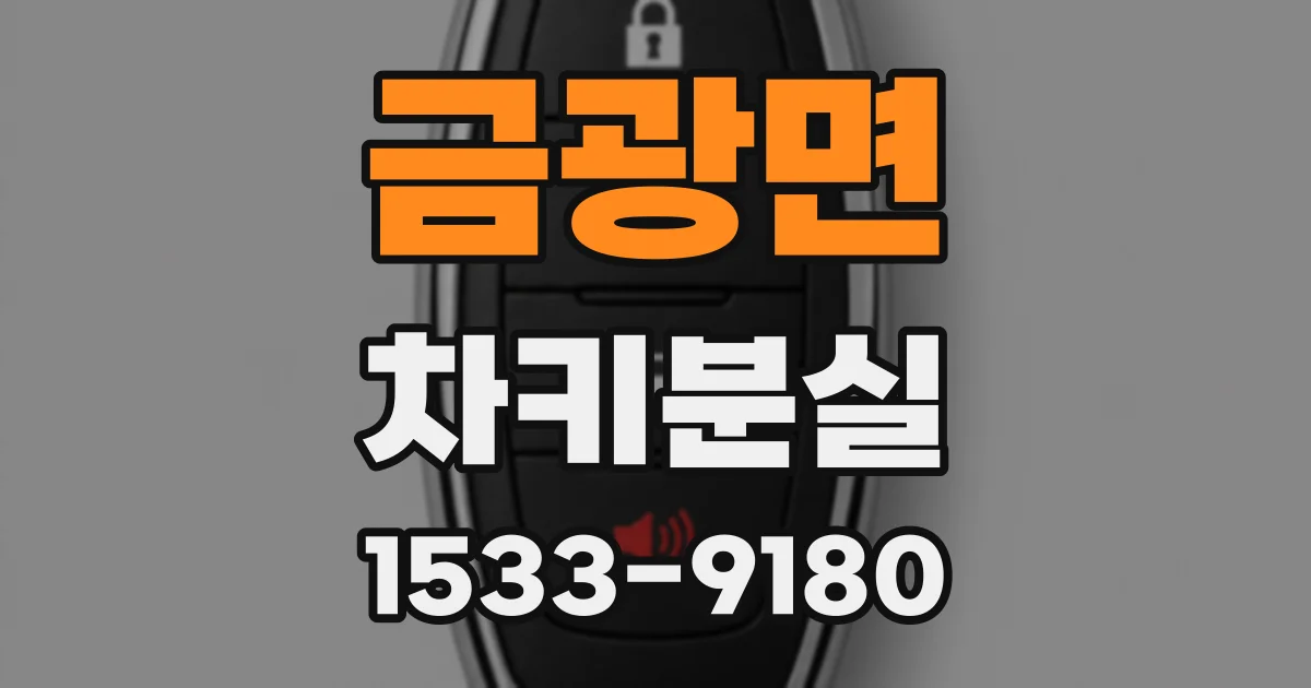 금광면 차키분실