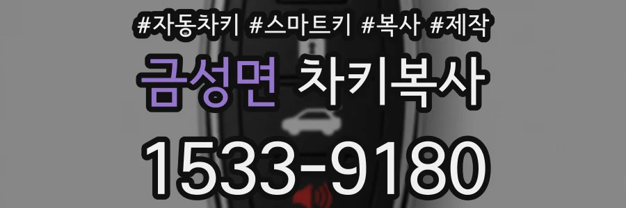 금성면 차키복사