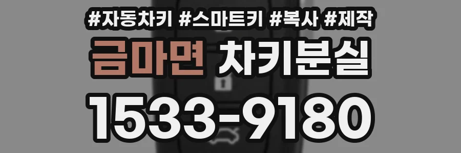 금마면 차키분실