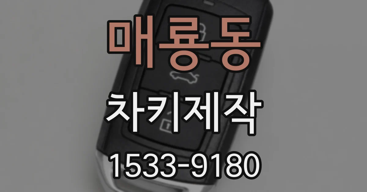매룡동 차키제작