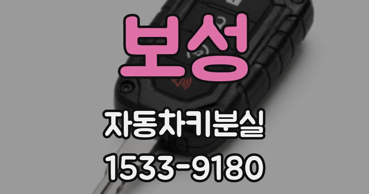 보성 자동차키분실
