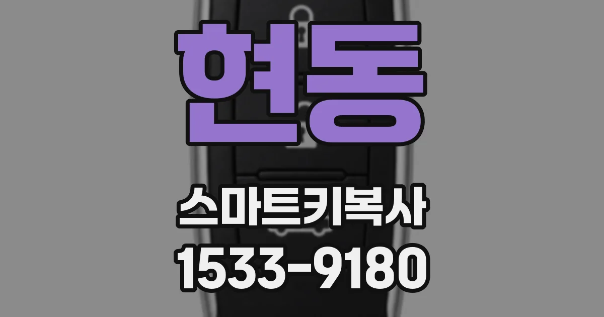 현동 스마트키복사
