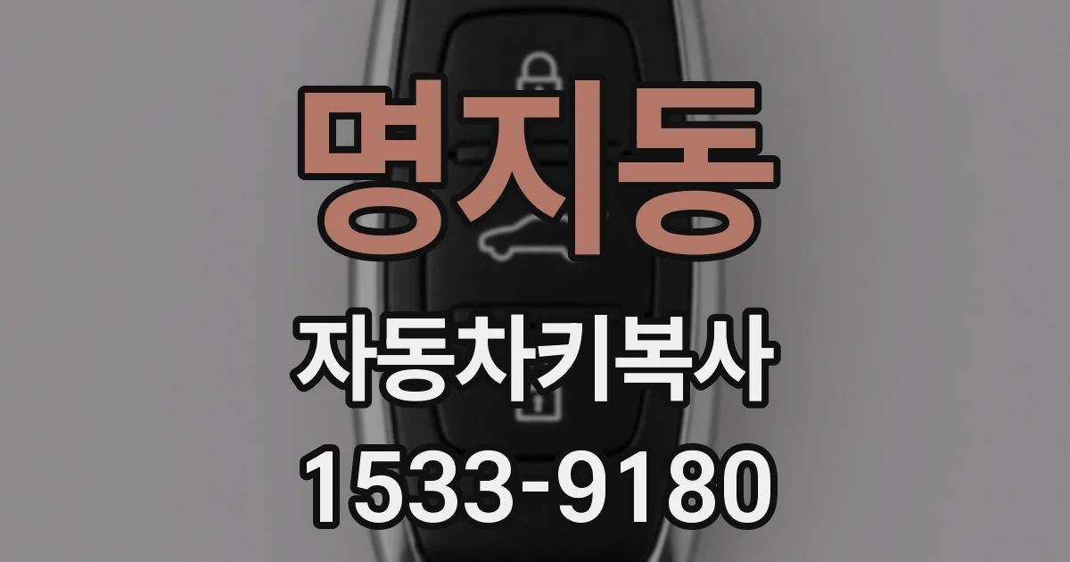 명지동 자동차키복사