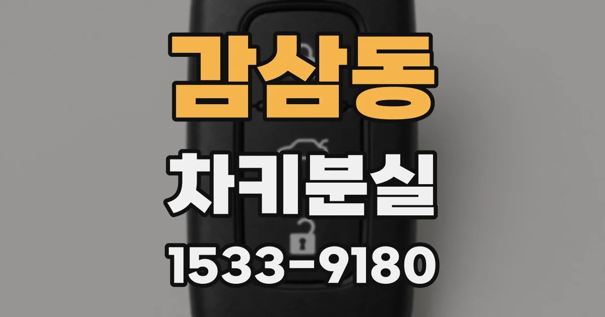 감삼동 차키분실