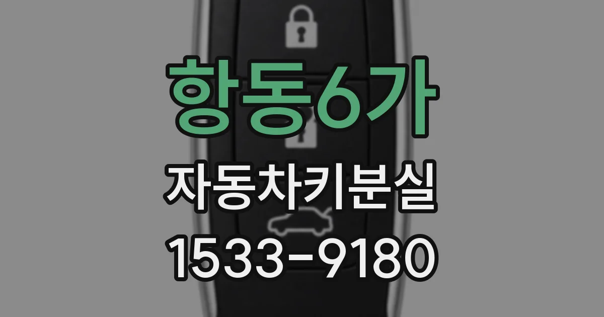 항동6가 자동차키분실