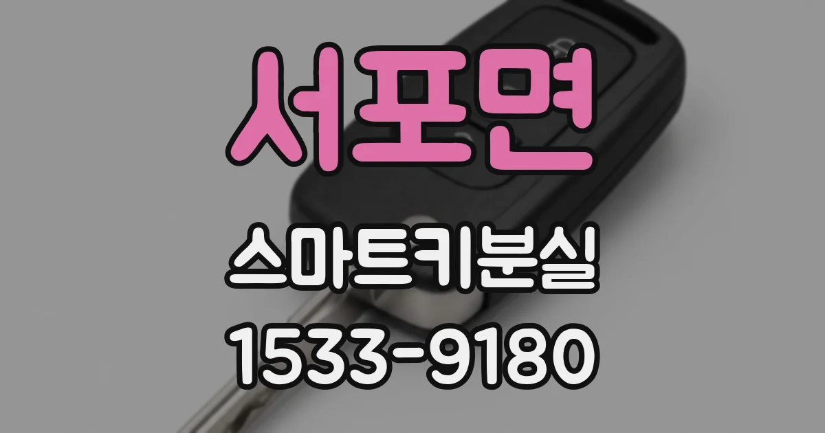 서포면 스마트키분실