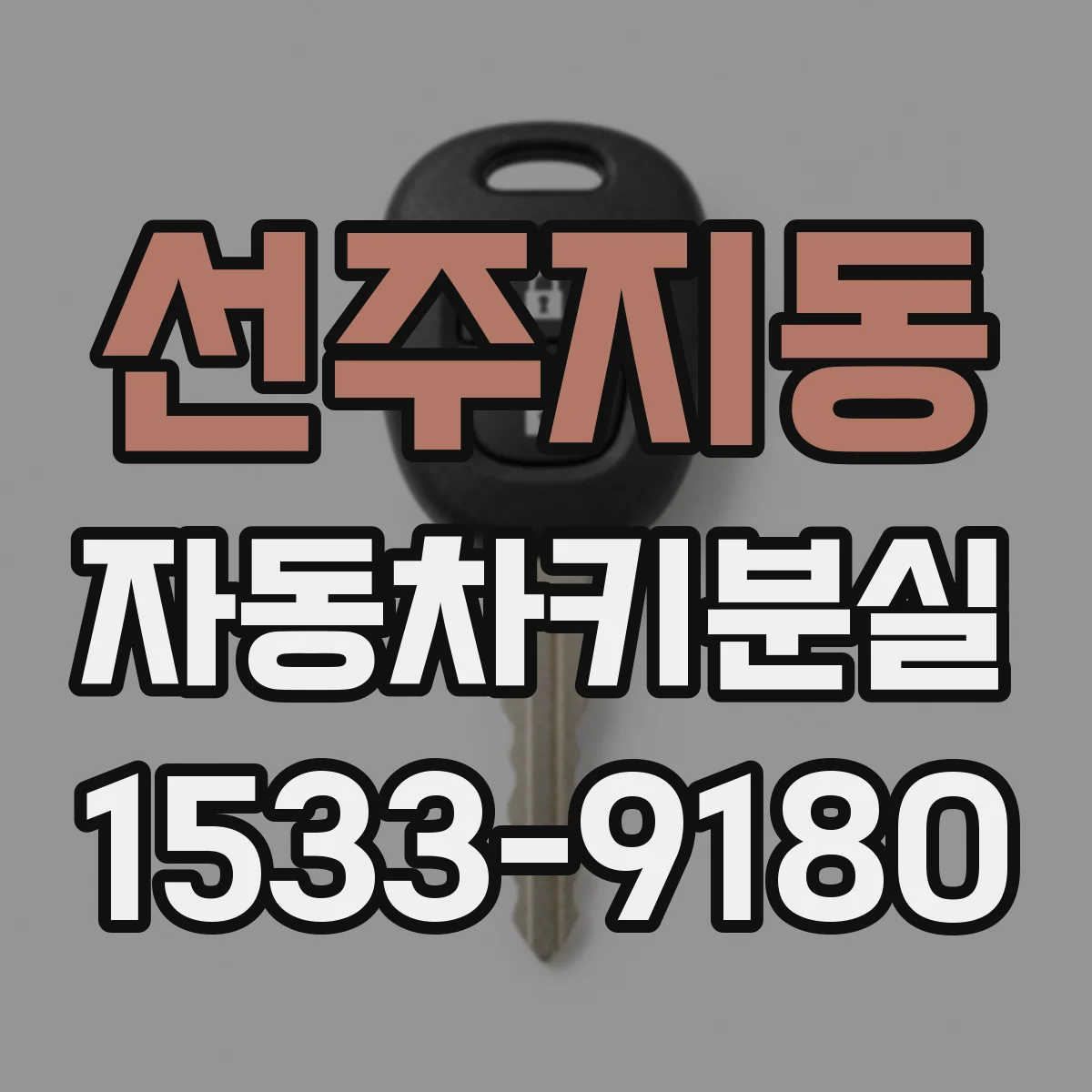 선주지동 자동차키분실