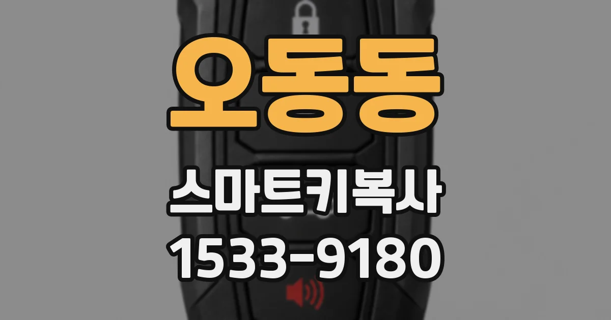 오동동 스마트키복사
