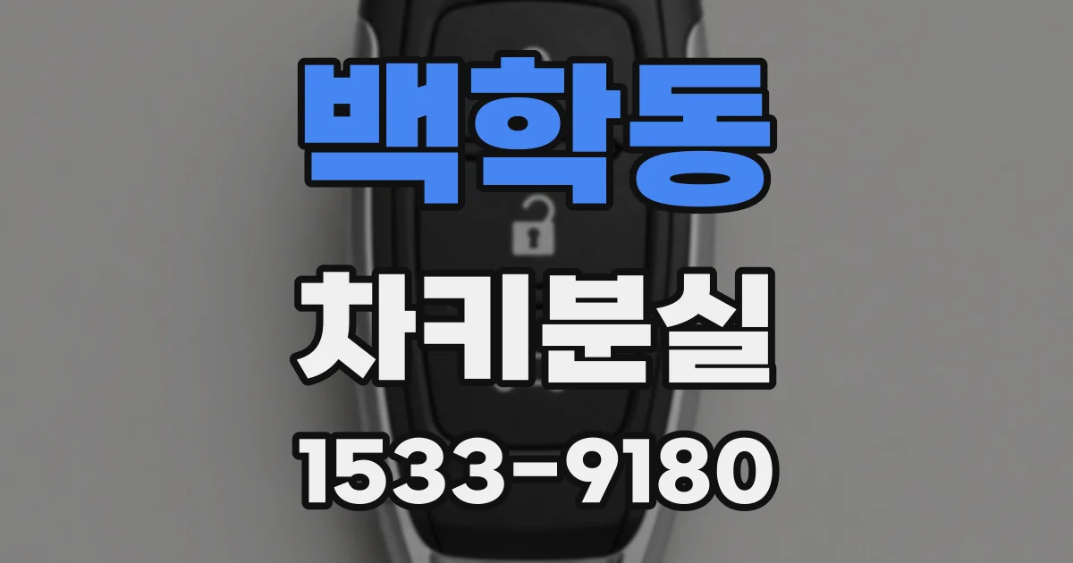 백학동 차키분실