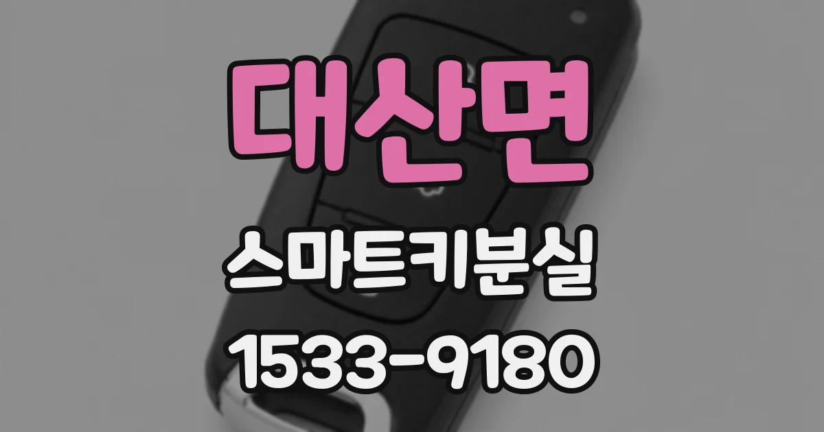 대산면 스마트키분실