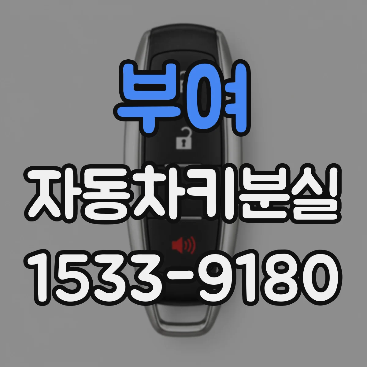 부여 자동차키분실