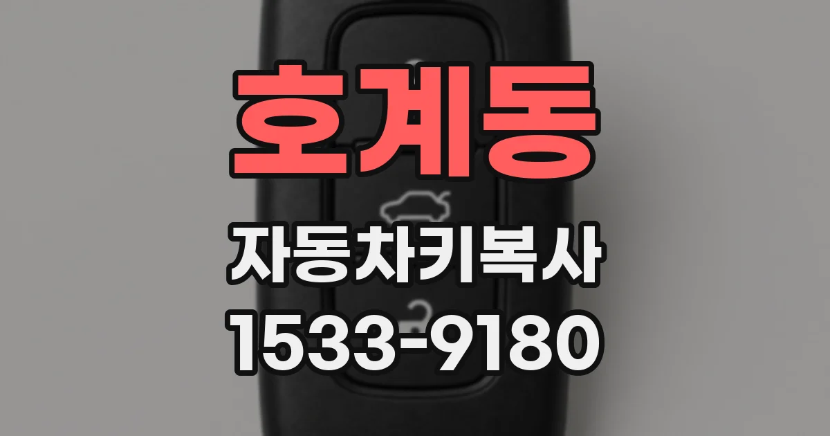 호계동 자동차키복사