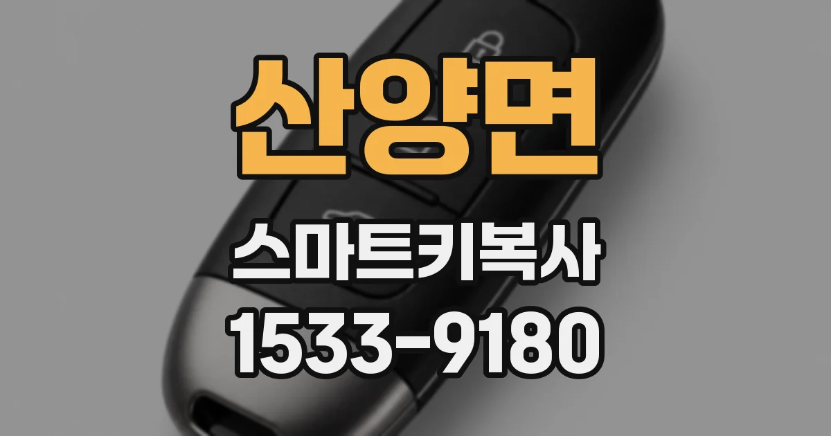 산양면 스마트키복사